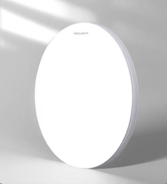 Xiaomi Yeelight Porch Ceiling Light