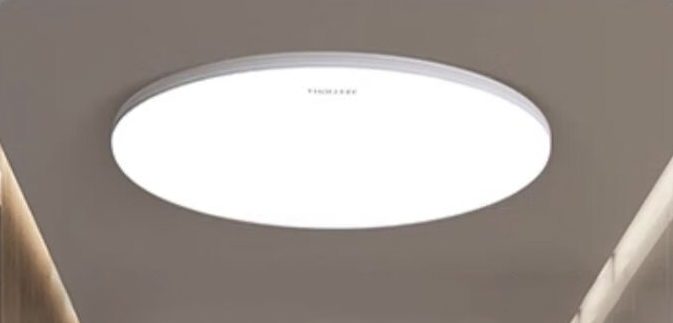 Xiaomi Yeelight Porch Ceiling Light