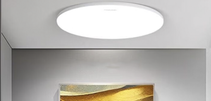 Xiaomi Yeelight Porch Ceiling Light