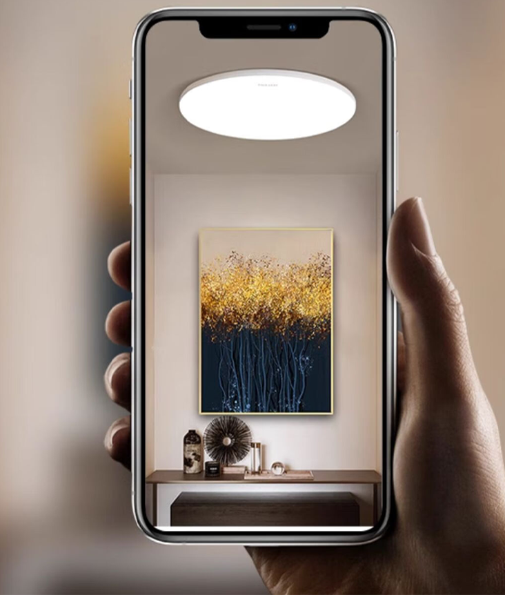 Xiaomi Yeelight Porch Ceiling Light